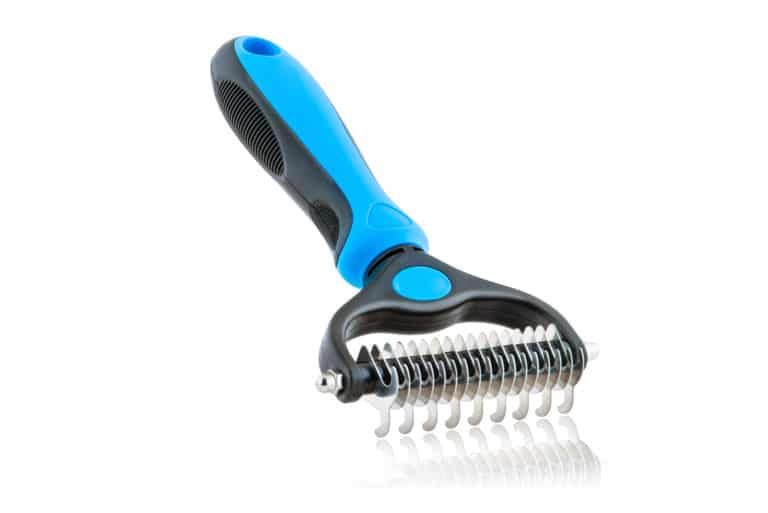 Professional pet grooming tools isolated on white background. To