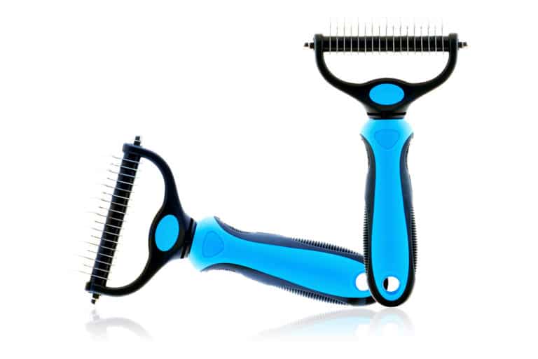 Professional pet grooming tools isolated on white background. To