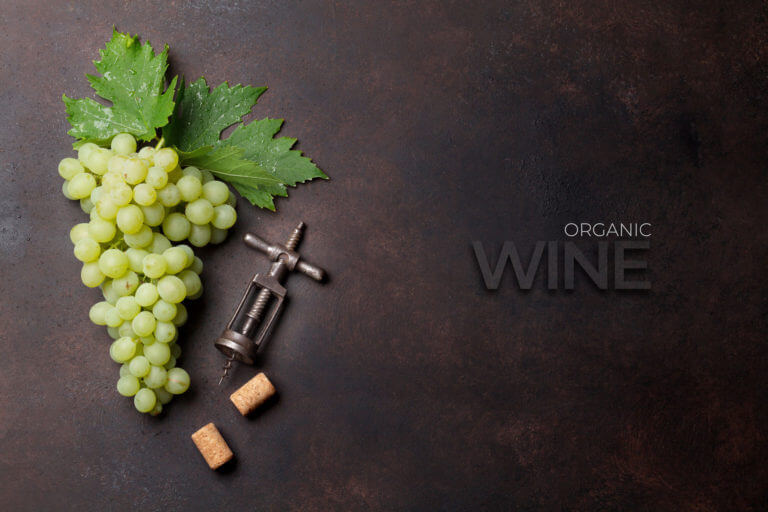 grapes-on-stone-background