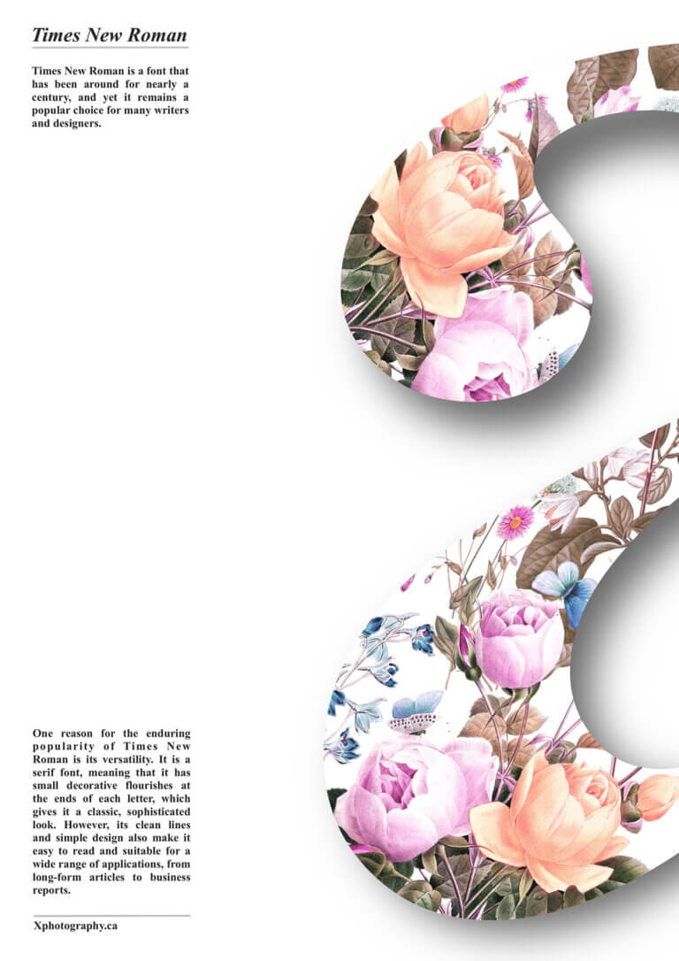 Professional Graphic Designer, Illustrator and Art Creator in Montreal Area, Quebec - Canada